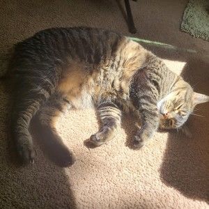 Meet your Posher, Dan